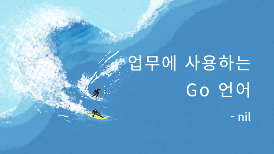 Go 언어의 nil 심층 분석: 인터페이스 함정, 메모리 안전성, 실무 패턴