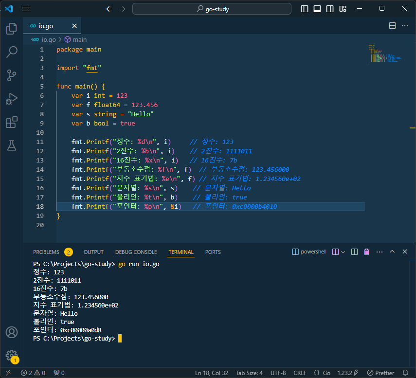 format specifiers 예시